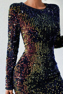 Sequin Round Neck Long Sleeve Mini Dress - SELFTRITSS
