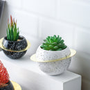 Circular potted plants - SELFTRITSS
