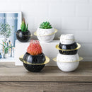Circular potted plants - SELFTRITSS