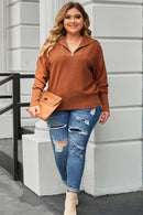 Brown Solid Ribbed Trim Plus Size Zip Collar Sweater - SELFTRITSS