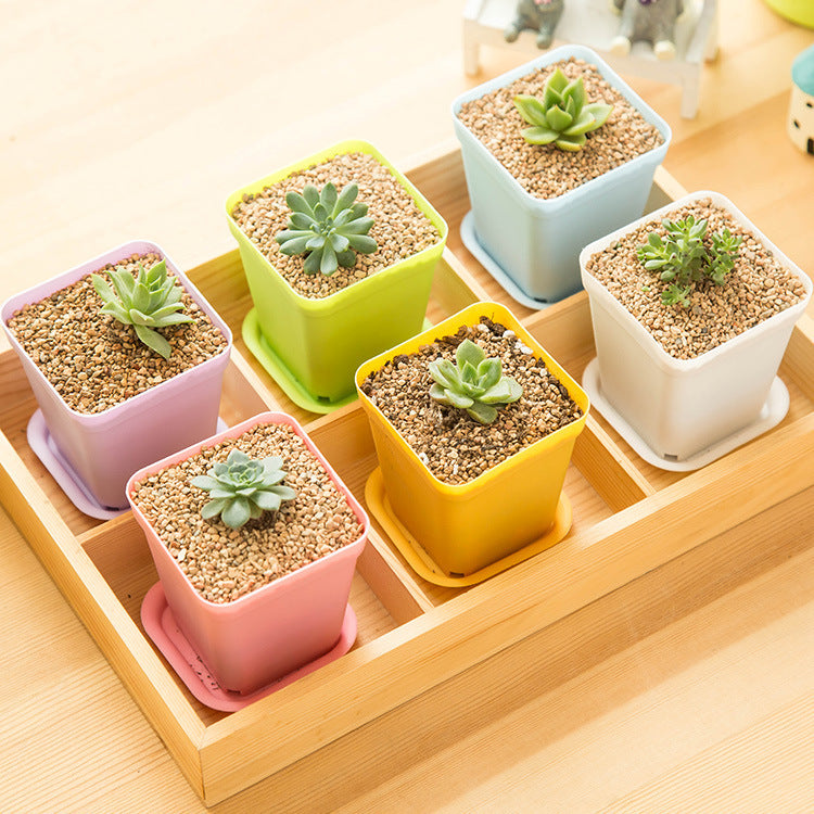 Mini colorful small pots
