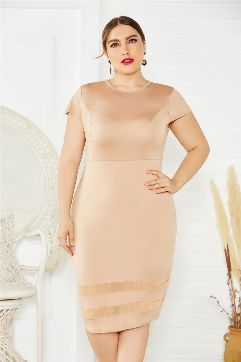 Plus Size Mesh Detail Midi Dress - SELFTRITSS