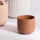 Matte Striped Ceramic Flower Pots - SELFTRITSS