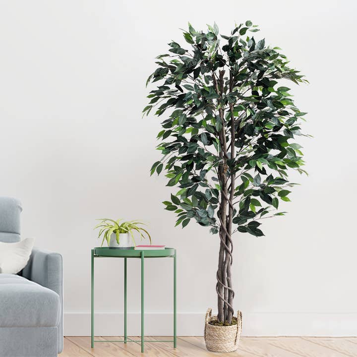 60" Ficus Tree with the Basket - SELFTRITSS