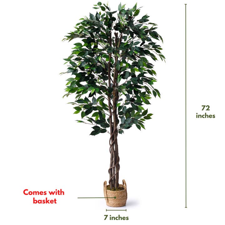72" Ficus Tree with the Basket