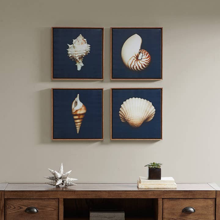 Coastal Seashells 4-Piece Framed Canvas Wall Art