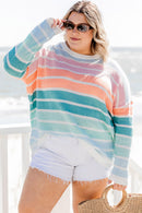 Multicolor Striped Crewneck Plus Size Sweater - SELFTRITSS