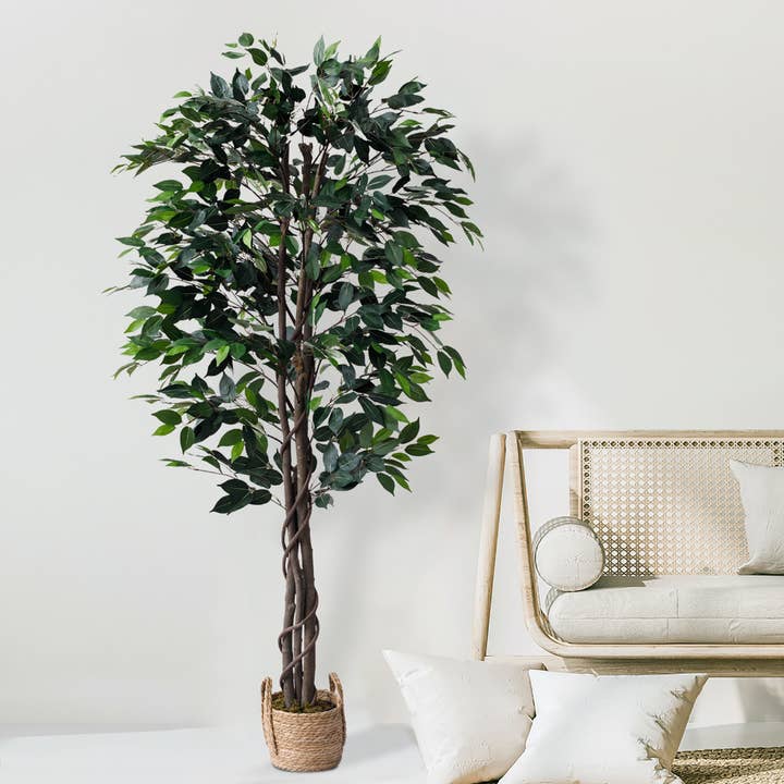 72" Ficus Tree with the Basket - SELFTRITSS