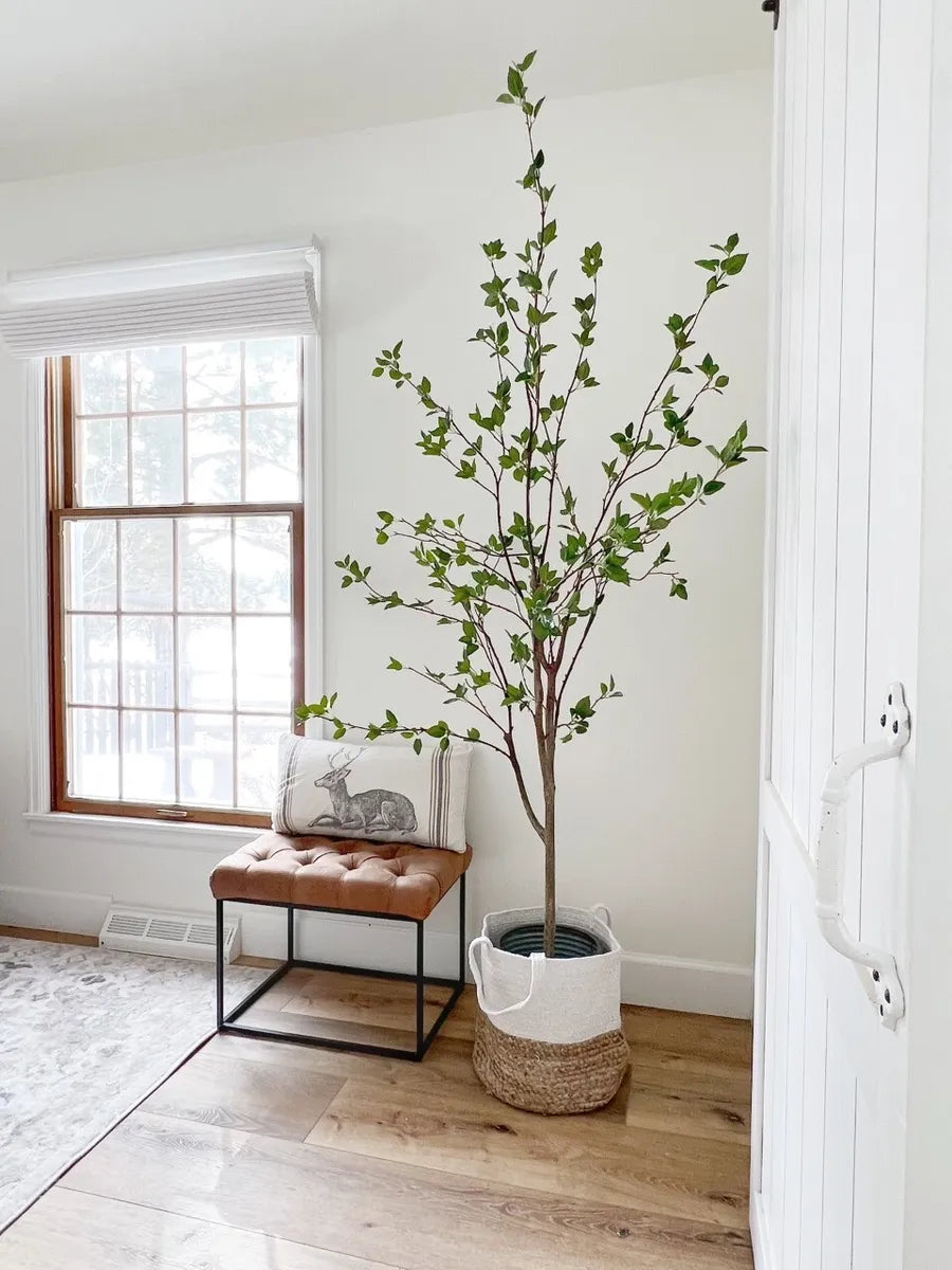 6.5’ Artificial Citrus Minimalist Tree - SELFTRITSS   