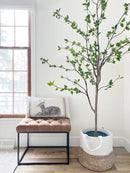 6.5’ Artificial Citrus Minimalist Tree - SELFTRITSS   