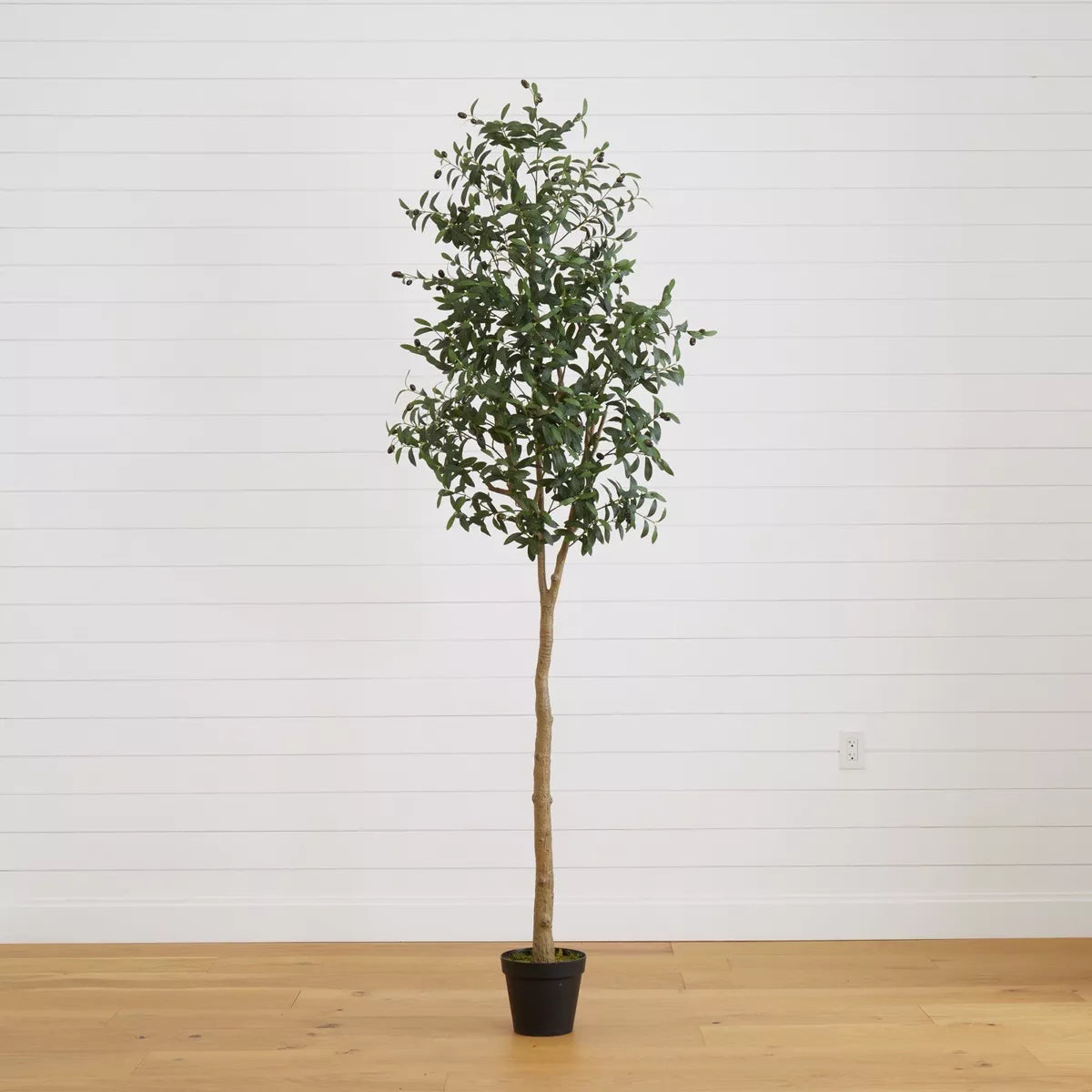 8’ Artificial Olive Minimalist Tree with Natural Trunk