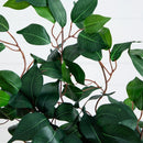 4" Ficus Tree with the Basket - SELFTRITSS   