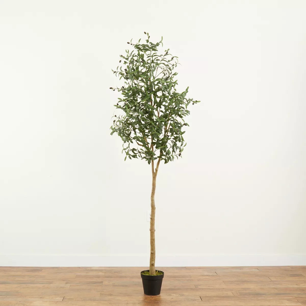 8’ Artificial Olive Minimalist Tree with Natural Trunk - SELFTRITSS   