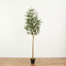 8’ Artificial Olive Minimalist Tree with Natural Trunk - SELFTRITSS   