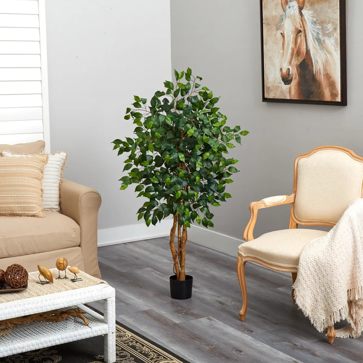 4" Ficus Tree with the Basket