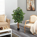 4" Ficus Tree with the Basket - SELFTRITSS   