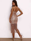 Sequin Fringe Spaghetti Strap Dress - SELFTRITSS