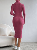 Turtleneck Long Sleeve Midi Sweater Dress - SELFTRITSS