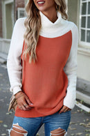 Contrast Turtleneck Raglan Sleeve Sweater - SELFTRITSS   