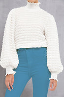 Frill Turtleneck Lantern Sleeve Blouse - SELFTRITSS   